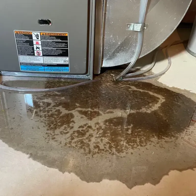 Appliance Leak Cleanup in Spring City, UT